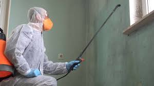 Biohazard Mold Removal in Casa De Oro Mount Helix, CA