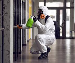 Mold Odor Removal Services in Casa De Oro Mount Helix, CA